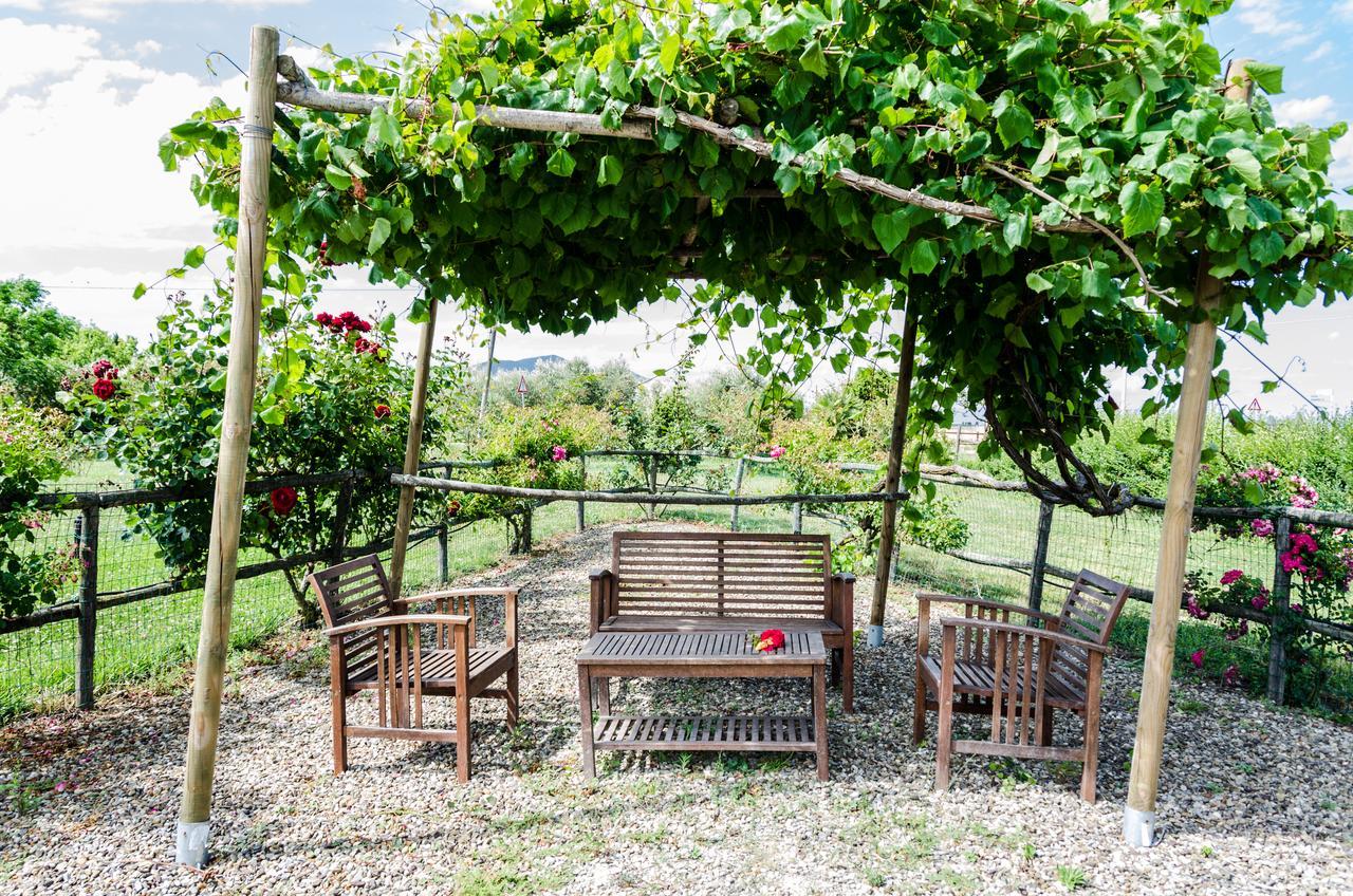 Agriturismo Il Roseto Marina di Grosseto Exterior foto